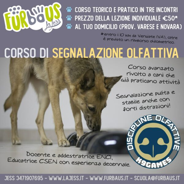 Segnalazione Olfattiva