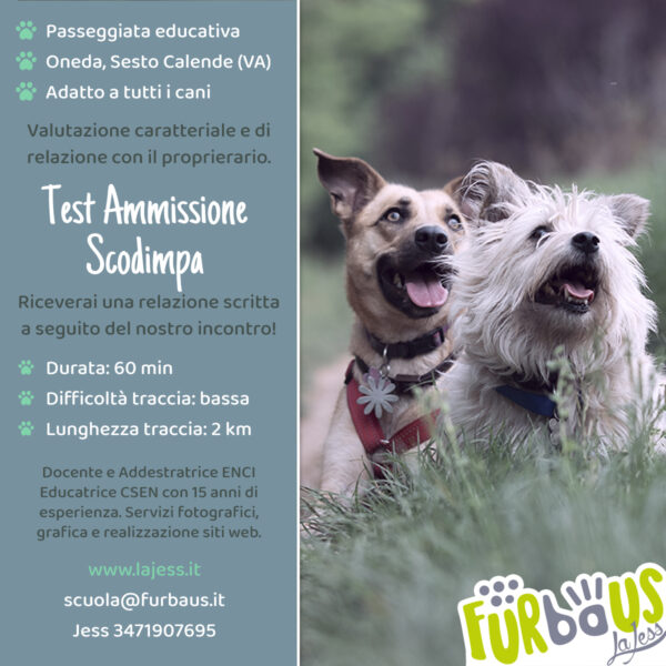 Test ammissione scodimpa