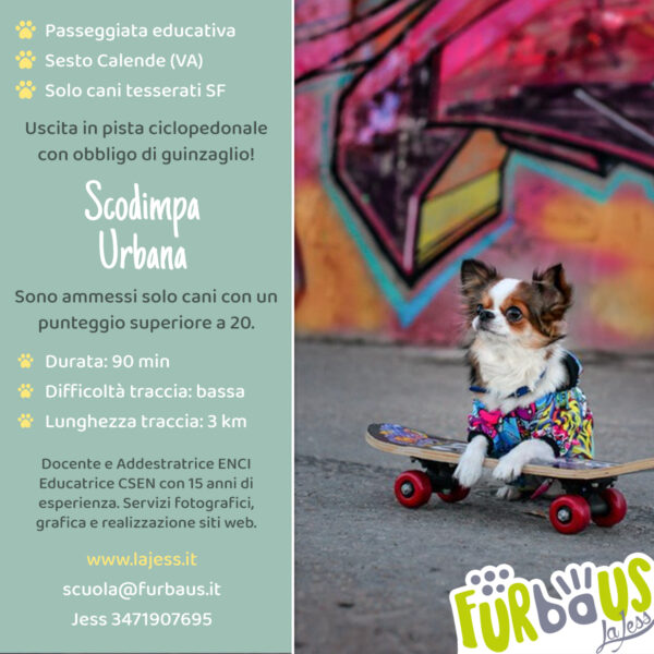 Scodimpa Urbana