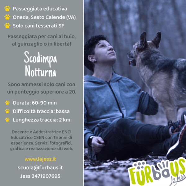 Scodimpa notturna