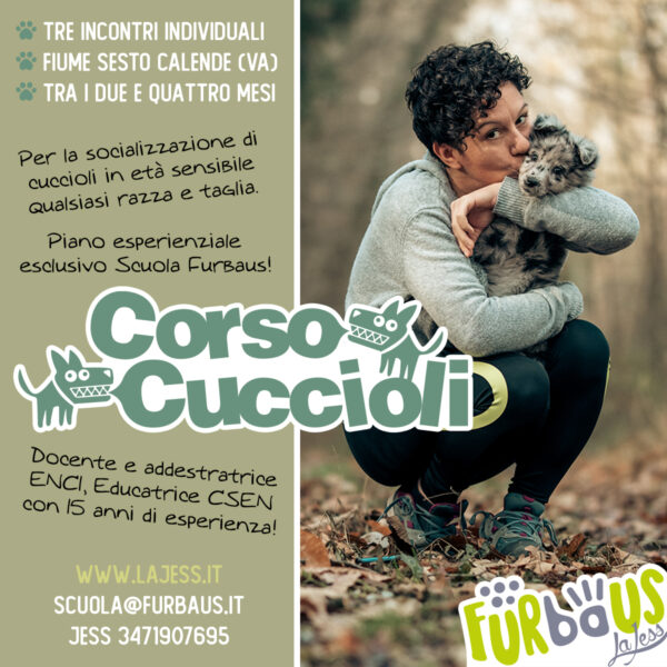 Corso Cuccioli