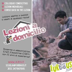 Lezioni a domicilio