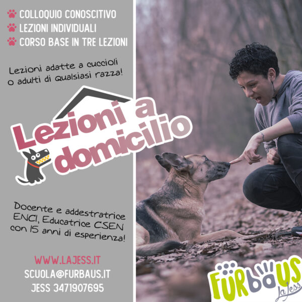 Lezioni a domicilio
