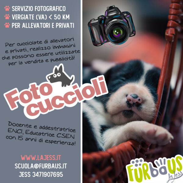 Servizio fotografico cucciolate