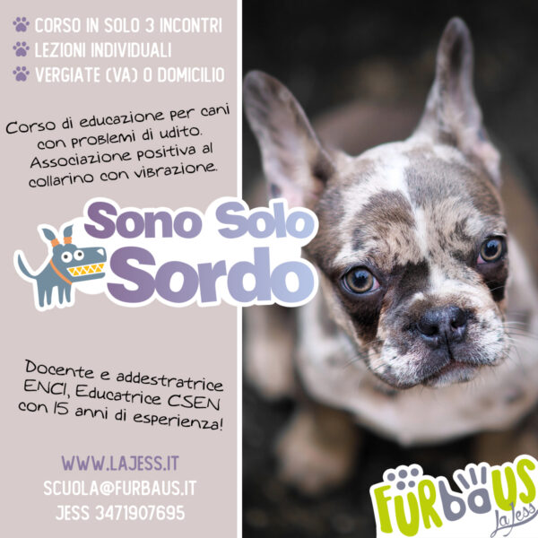 Sono solo sordo
