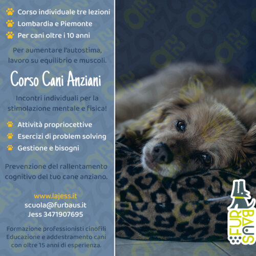 loc26-Cpriv-anziani-27set26 cani anziani copertina
