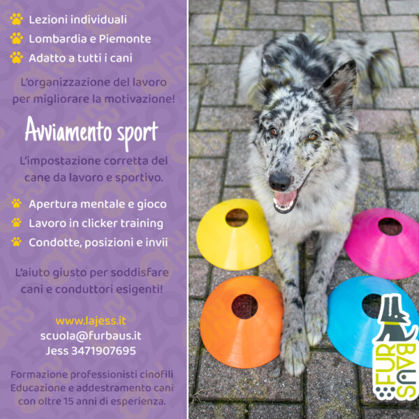 Avviamento allo Sport