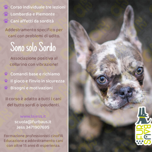 loc26-Cpriv-sordi-27set26 cane sordo copertina