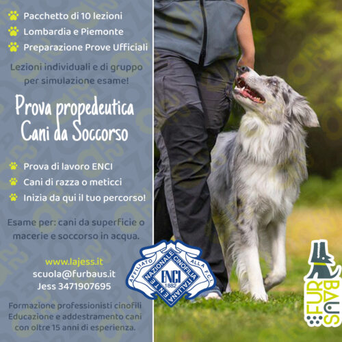 loc26-27-ppu-propedeutico propedeutico copertina