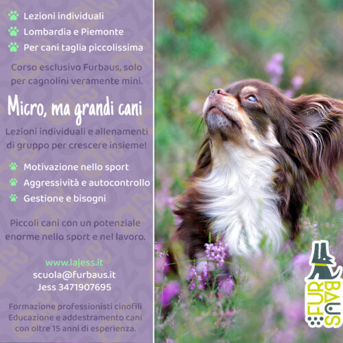 loc26-Cpriv-mini-27set26 Micro ma grandi cani!