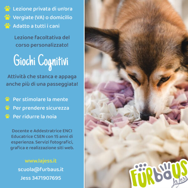 Giochi Cognitivi