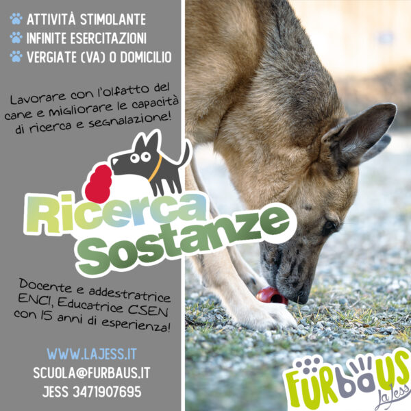 Ricerca Sostanze
