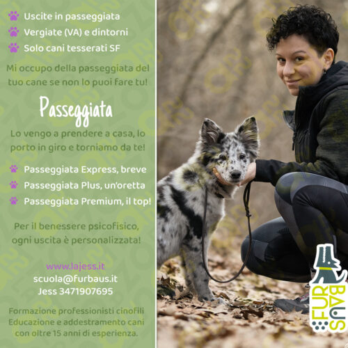 passeggiata copertina