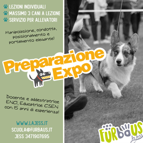 Preparazione expo