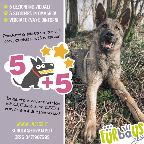 Pacchetto 5+5