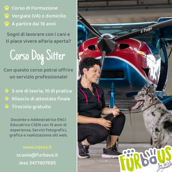 Corso Dog Sitter