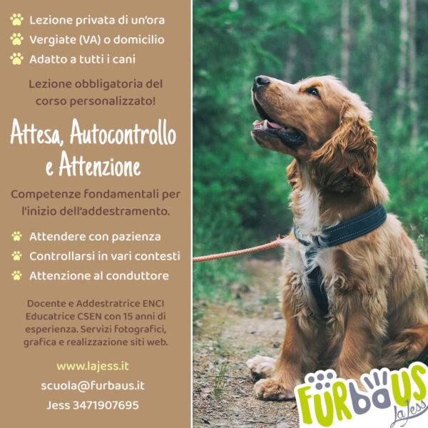 Attesa, Autocontrollo e Attenzione