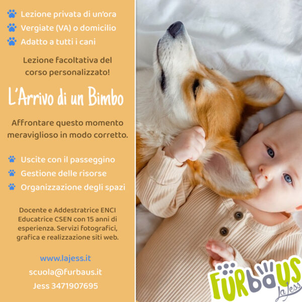 L'arrivo di un bimbo