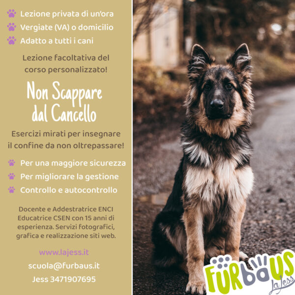 Non scappare dal cancello