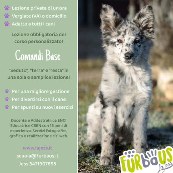 Comandi base
