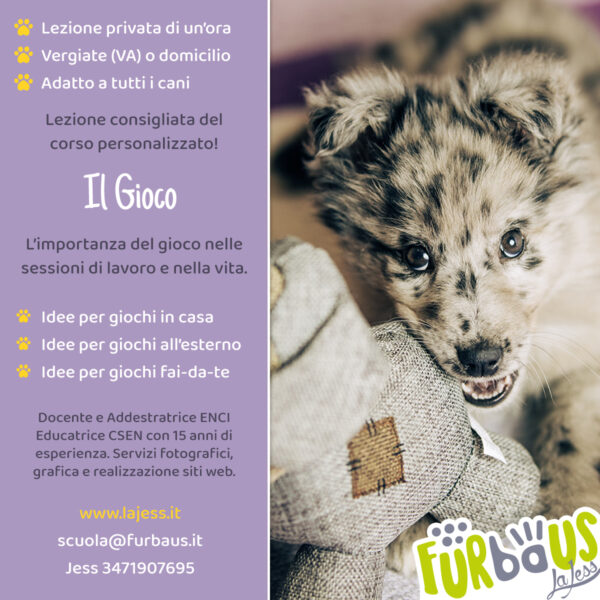 Il gioco