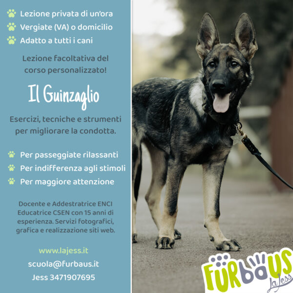 Condotta al guinzaglio