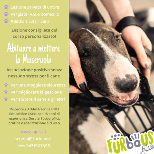 Abituare alla museruola