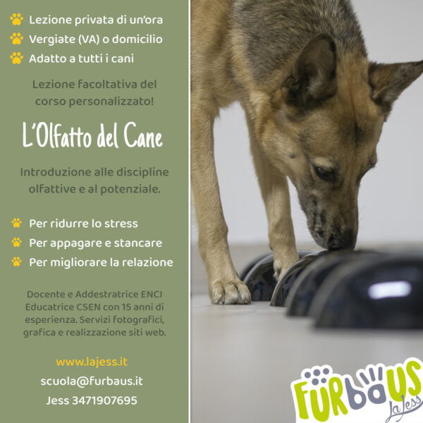 L'olfatto del cane