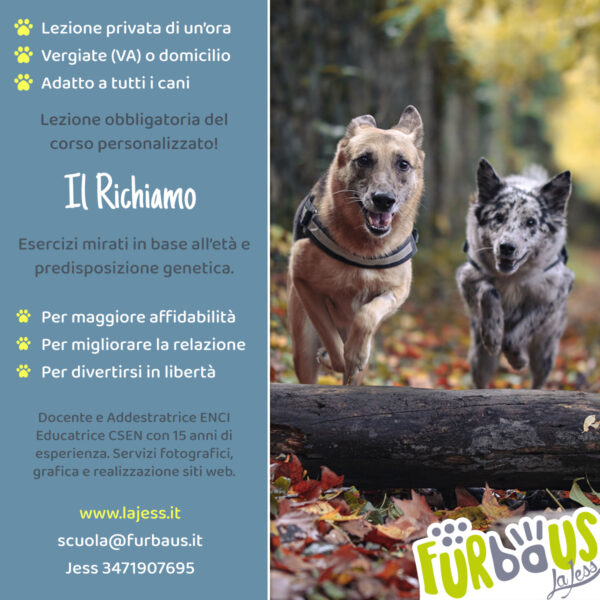 Richiamo