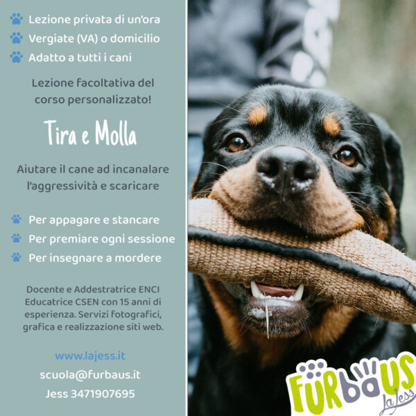 Introduzione al "tira e molla"