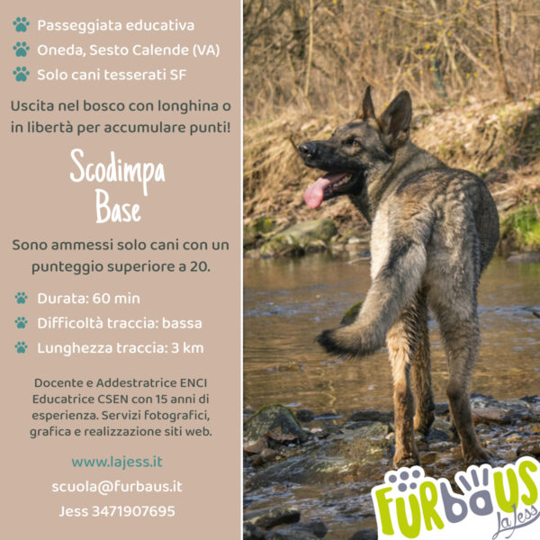 Scodimpa Base