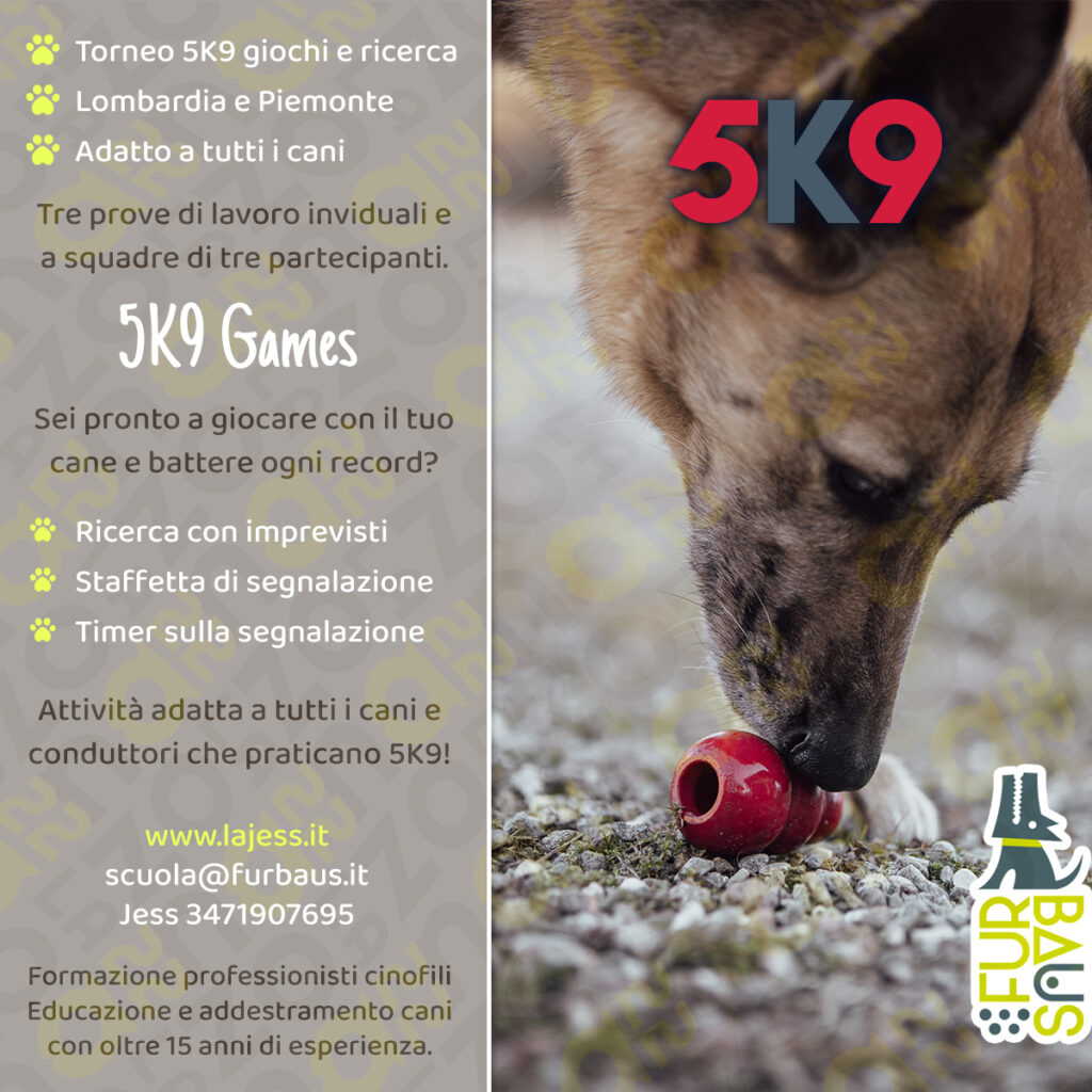 5K9™ Games Torneo Olfattivo