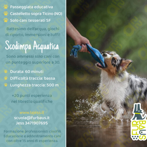 locandina scodimpa acquatica