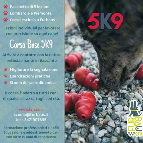 loc26-PE-corsobase5k9b Corso base 5K9™ locandina