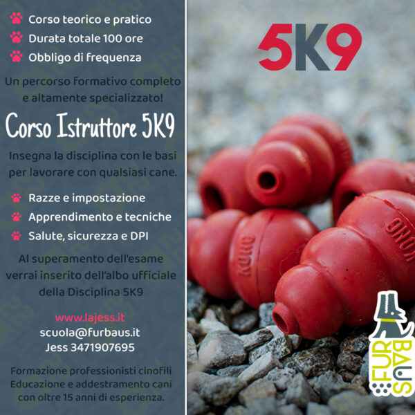 istruttore 5k9