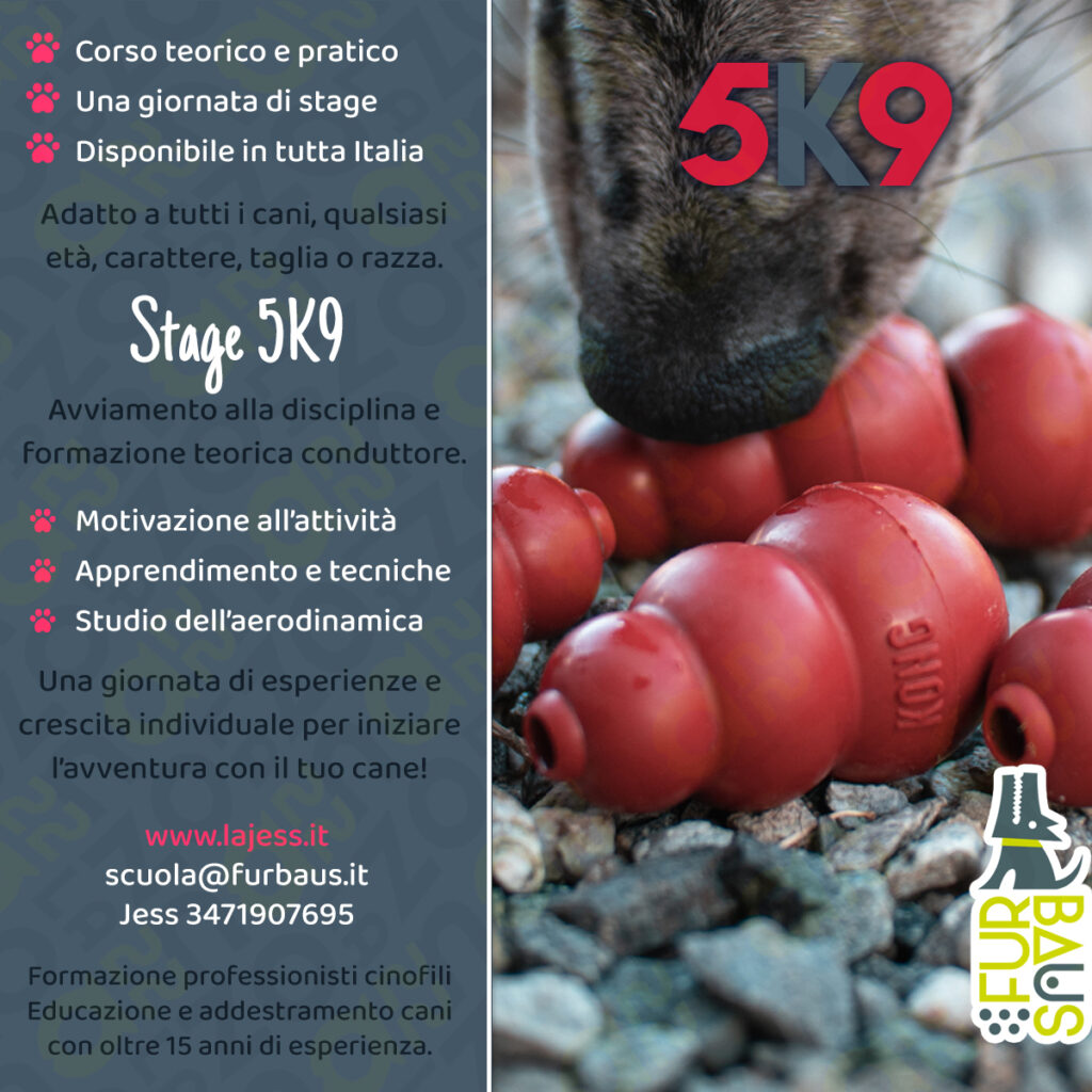 stage 5k9