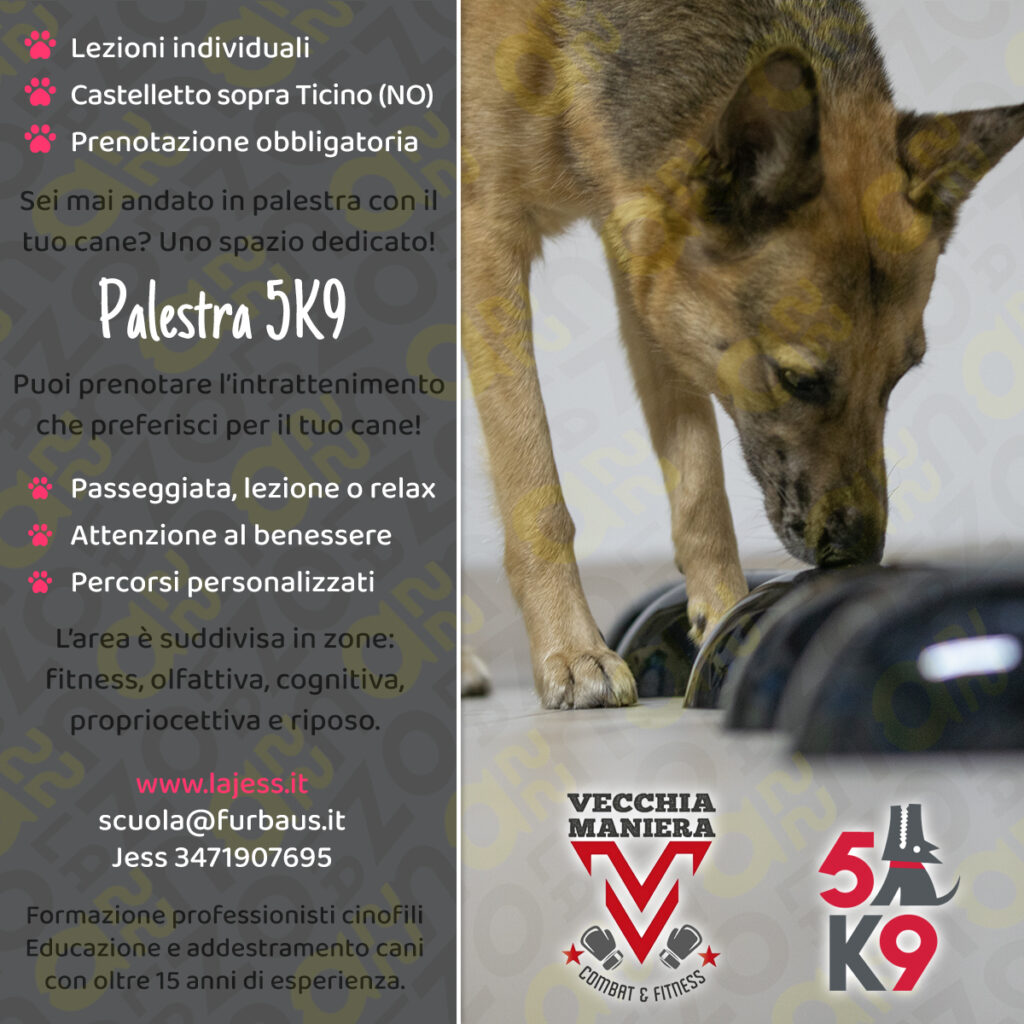 Palestra 5K9™ locandina