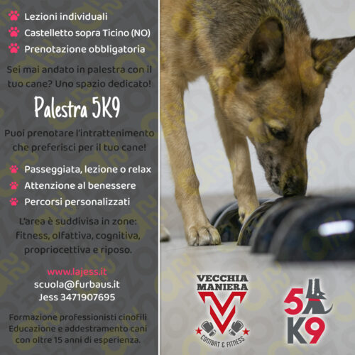 loc26-PALESTRA Palestra 5K9™ locandina
