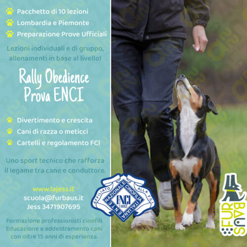 loc26-27-ppu-rally rally obedience copertina