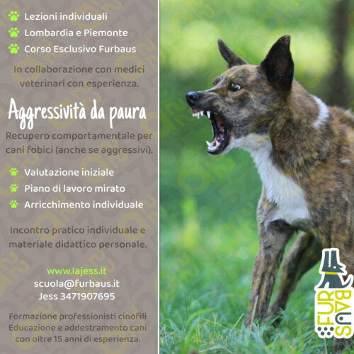loc26-27-reccomport-agg-paura aggressività da paura copertina