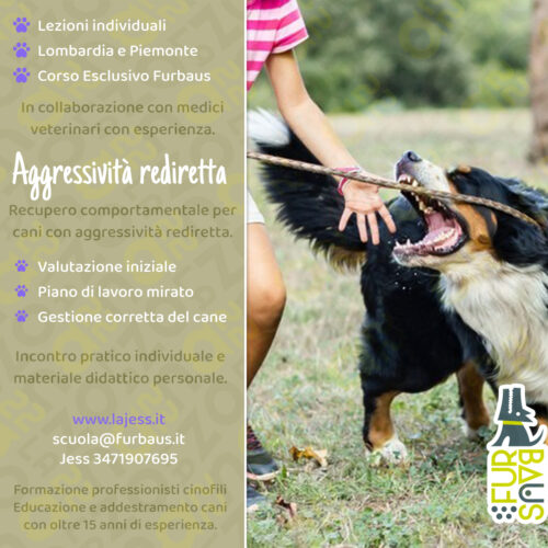 loc26-27-reccomport-agg-rediretta aggressività rediretta copertina