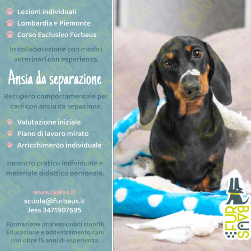 loc26-27-reccomport-ansia ansia da separazione copertina