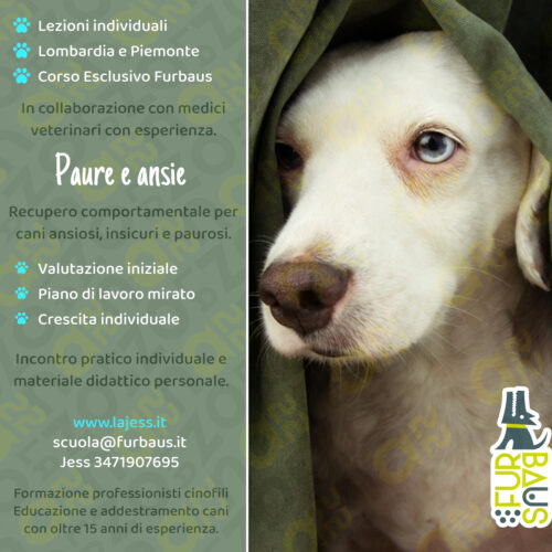 loc26-27-reccomport-fifoni paure e ansie copertina