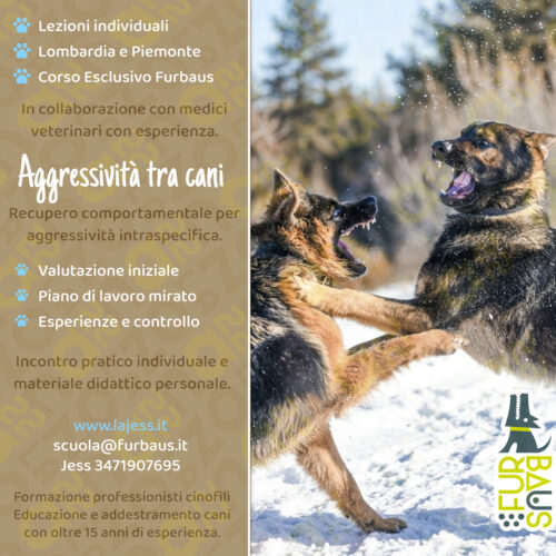 loc26-27-reccomport-intra aggressività intraspecifica copertina