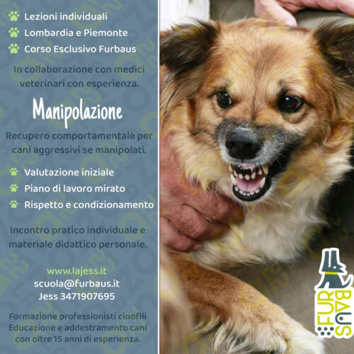 loc26-27-reccomport-mani Manipolazione e aggressività