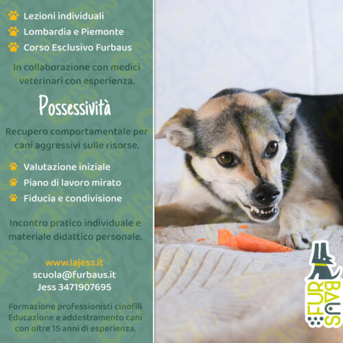 loc26-27-reccomport-possesso possessività copertina