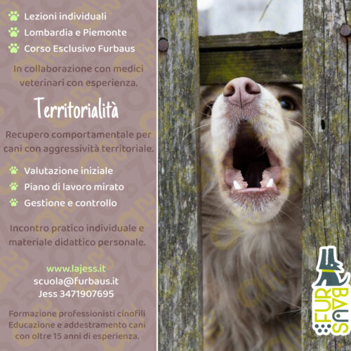 loc26-27-reccomport-territorialità territorialità copertina