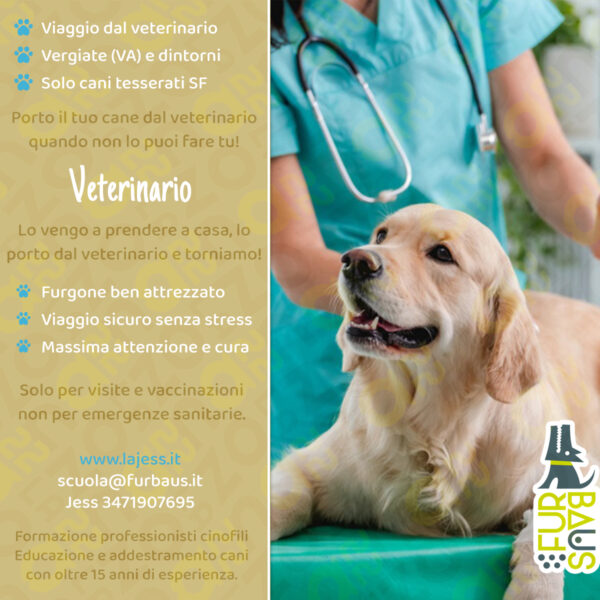 veterinario copertina