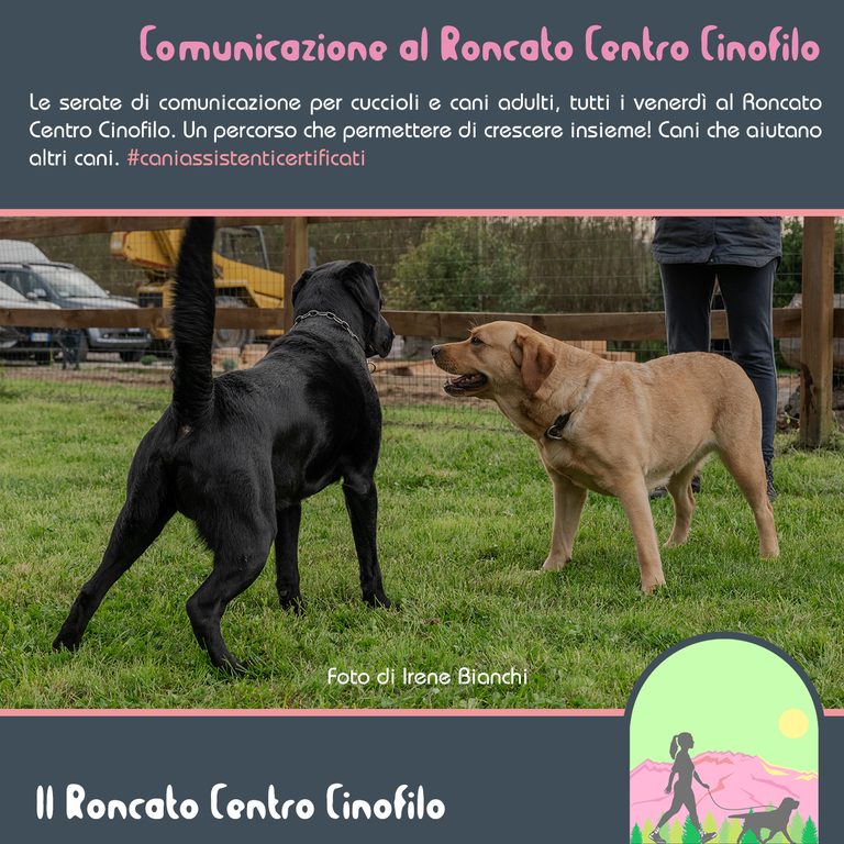 comunicazione copertina
